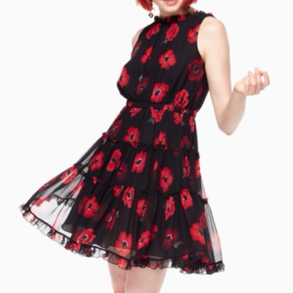 Kate Spade Poppy Chiffon fit and flare dress size 2